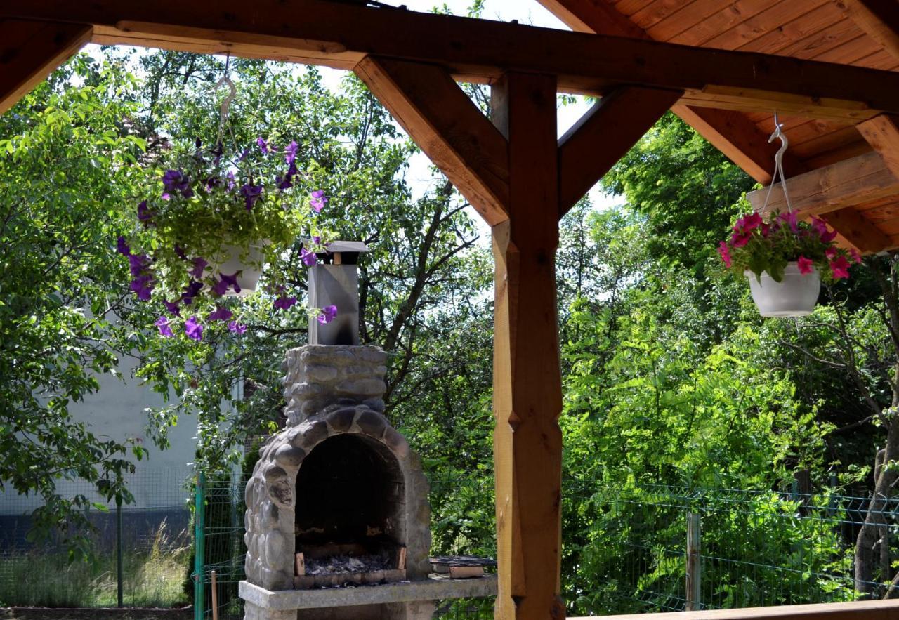 Villa Rozsi Mama Sovata Exterior foto